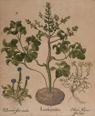 Lot 277 - Sporting & Natural History. A collection of approximately 270 prints, 18th & 19th century