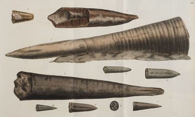 Lot 81 - Sowerby (James). The Mineral Conchology of Great Britain, 6 volumes, 1812-29