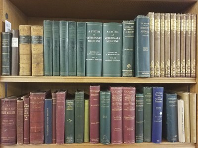 Lot 417 - Veterinarian. A large collection of 19th & early 20th Century veterinarian reference & related