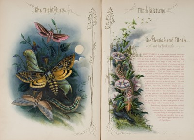Lot 102 - Jerrard (Paul & Son, publishers). The Night-Flyers, circa 1860