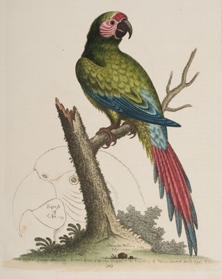Lot 212 - Birds. A collection of 58 prints, 18th-century