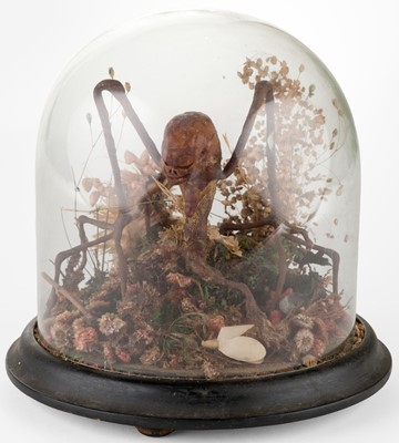 Lot 677 - Taxidermy. A Victorian anthropomorphic display