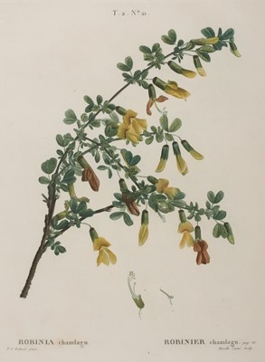 Lot 216 - Botany. A collection of 96 prints, 18th & 19th century