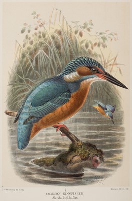 Lot 55 - Lilford (Thomas Littleton Powys). Coloured Figures of the Birds of the British Islands, 1885-97