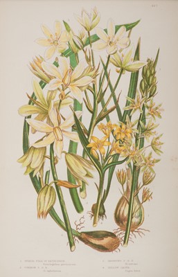 Lot 131 - Botanical. A collection of approximately 130 prints, mostly 19th and 20th-century