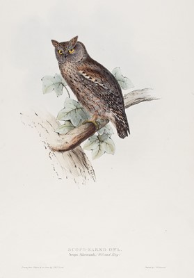 Lot 145 - Gould (J. & E.). A collection of 17 lithographs of birds, circa 1870