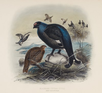 Lot 52 - Millais (John Guille). Game Birds and Shooting Sketches, 1892