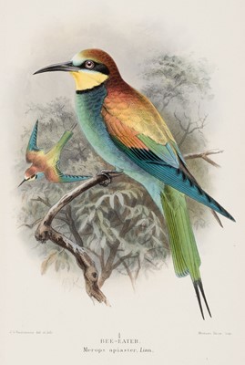 Lot 49 - Lilford (Thomas Powys). Coloured Figures of the Birds..., 7 vols, 2nd edition, 1891-97