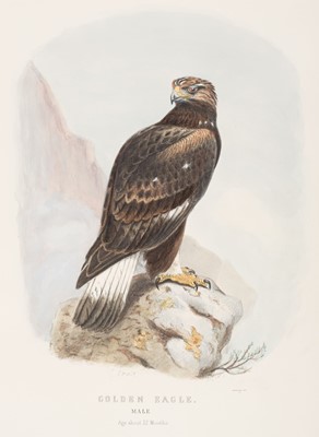 Lot 36 - Booth (Edward Thomas), Rough Notes on the Birds... 3 vols, 1881-87