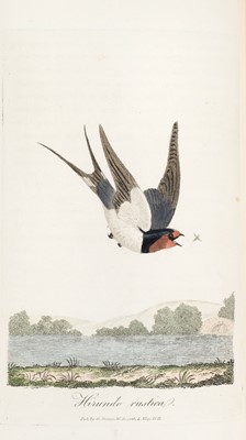 Lot 45 - Graves (George). British Ornithology, 3 vols in 1, 2nd edition, 1821