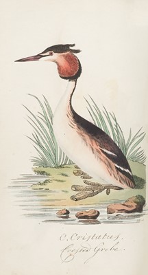 Lot 47 - Hunt (John). British Ornithology, 2 vols, 1815