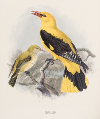 Lot 43 - Dresser (Henry E.). A History of the Birds of Europe, 11 vols., 1871-1910