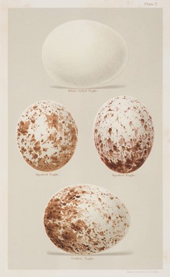 Lot 83 - Seebohm (Henry). Coloured Figures of the Eggs of British Birds, 1896