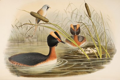 Lot 44 - Gould (John). The Birds of Great Britain, 5 volumes, 1st edition, 1862-73