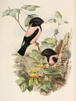 Lot 44 - Gould (John). The Birds of Great Britain, 5 volumes, 1st edition, 1862-73
