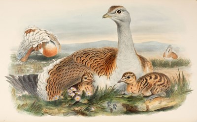 Lot 44 - Gould (John). The Birds of Great Britain, 5 volumes, 1st edition, 1862-73