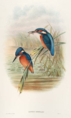 Lot 44 - Gould (John). The Birds of Great Britain, 5 volumes, 1st edition, 1862-73