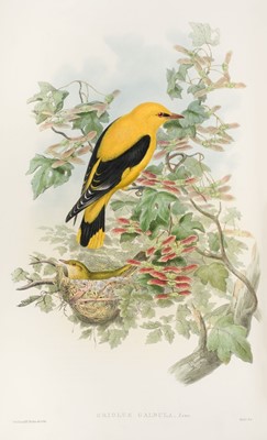 Lot 44 - Gould (John). The Birds of Great Britain, 5 volumes, 1st edition, 1862-73