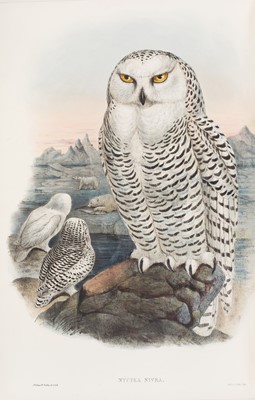 Lot 44 - Gould (John). The Birds of Great Britain, 5 volumes, 1st edition, 1862-73
