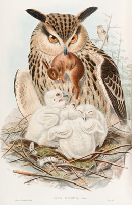 Lot 44 - Gould (John). The Birds of Great Britain, 5 volumes, 1st edition, 1862-73