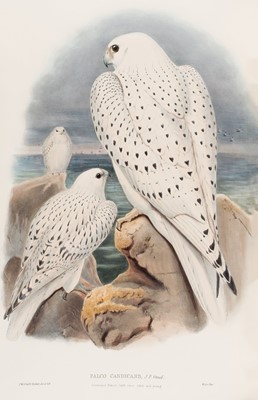 Lot 44 - Gould (John). The Birds of Great Britain, 5 volumes, 1st edition, 1862-73