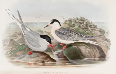 Lot 44 - Gould (John). The Birds of Great Britain, 5 volumes, 1st edition, 1862-73