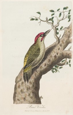 Lot 46 - Graves (George). British Ornithology..., vols I & II, 1811-1813