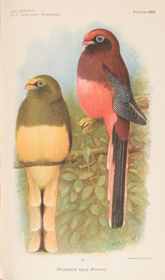 Lot 71 - Delacour (J. & P. Jabouille). Les Oiseaux de l'Indochine Francaise, 4 vols, 1931
