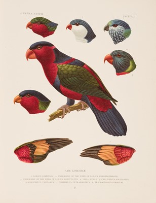Lot 89 - Wytsman (P., editor). Genera Avium, 26 parts 1905-14