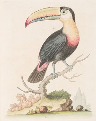Lot 72 - Edwards (George). A Natural History of Uncommon Birds/Gleanings of Natural History, 7 vols, 1743-64