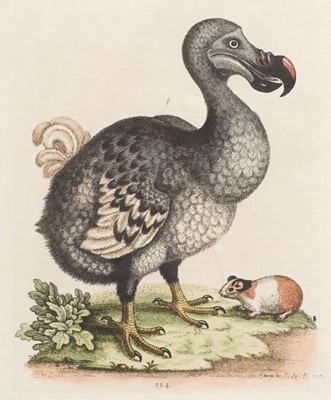 Lot 72 - Edwards (George). A Natural History of Uncommon Birds/Gleanings of Natural History, 7 vols, 1743-64