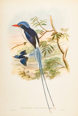 Lot 171 - Gould (John). Five lithographs of Kingfishers, [1875 - 88]