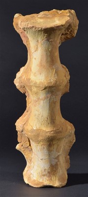 Lot 95 - Dinosaur Tail Section Vertebra.