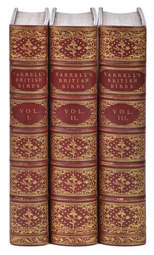 Lot 116 Yarrell, William