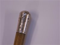 Lot 287 - Swagger Stick.