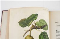 Lot 42 - Transactions of the Horticultural Society of London.