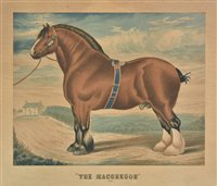 Lot 123 - Clydesdale Horse.