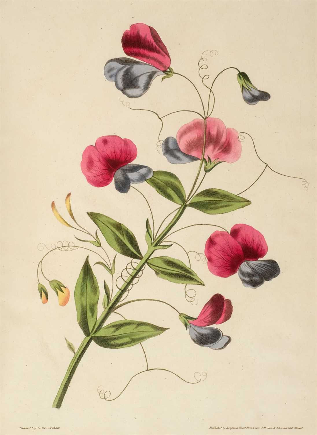 Lot 352 - Brookshaw (George). A New Treatise on Flower Painting, 1818