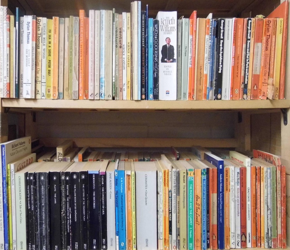 Lot 514 - Paperbacks.