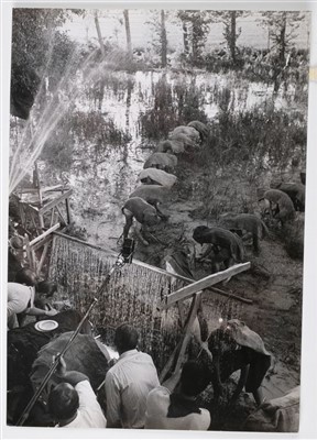 Lot 128 - Capa, Robert, 1913-1954